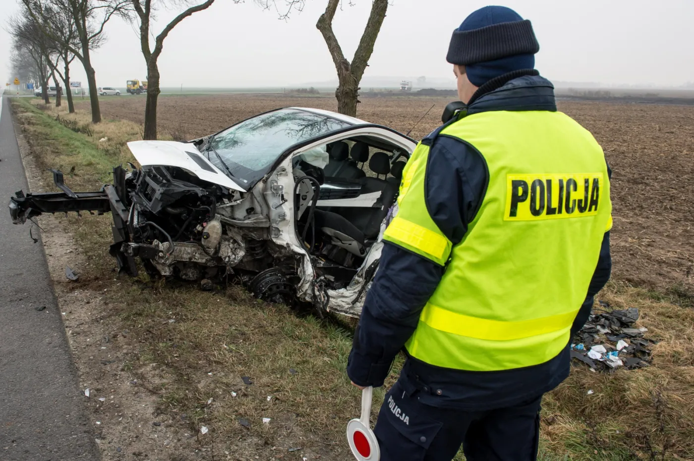 Czołowe zderzenie. W wypadku w okolicach Brzegu ucierpiało 12 osób. ZDJĘCIA