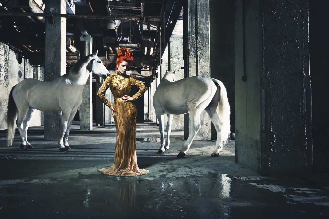 6510773-paloma-faith.jpg