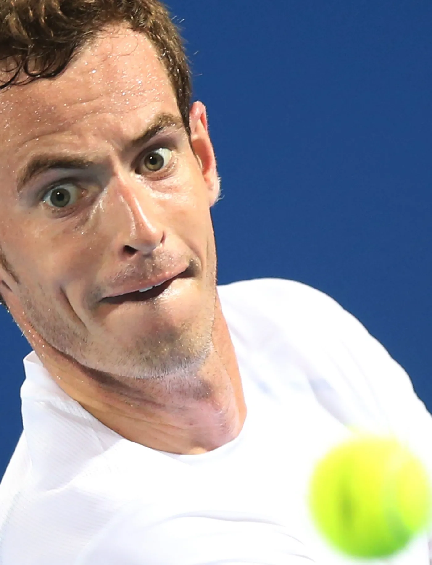 7257998-andy-murray.jpg
