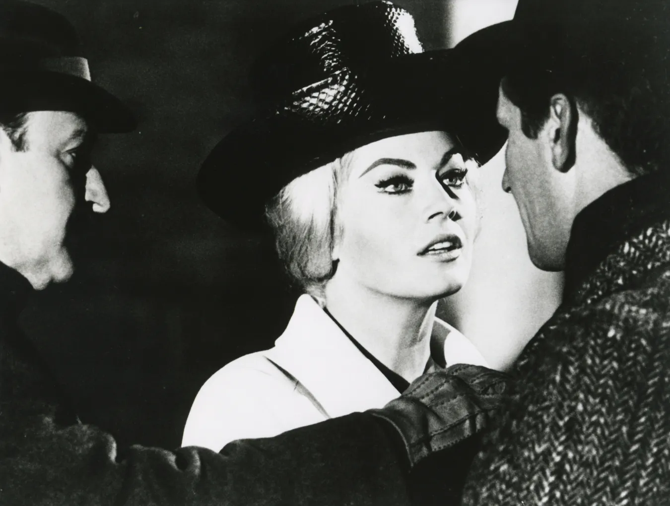 7287058-anita-ekberg.jpg