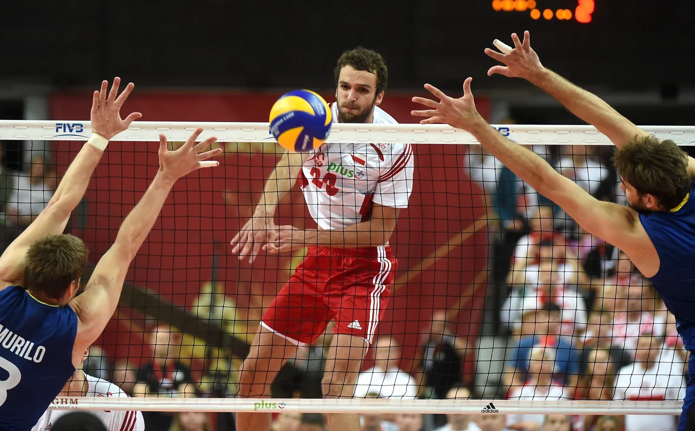 6836027-mateusz-mika.jpg