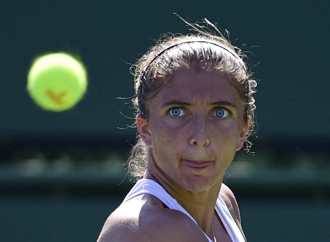 7546699-sara-errani.jpg