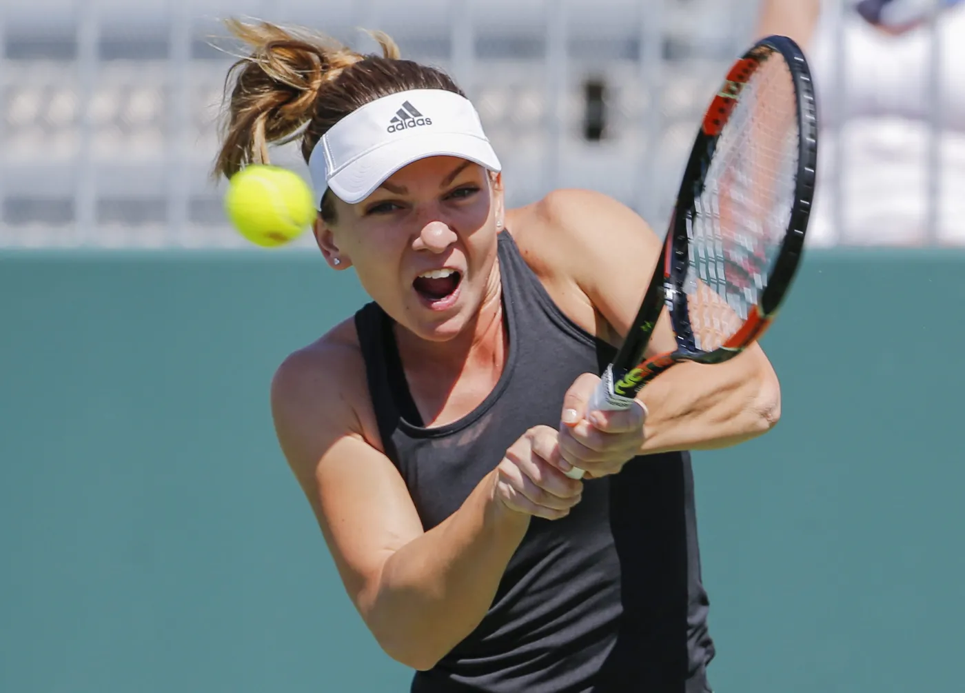 7603318-simona-halep.jpg