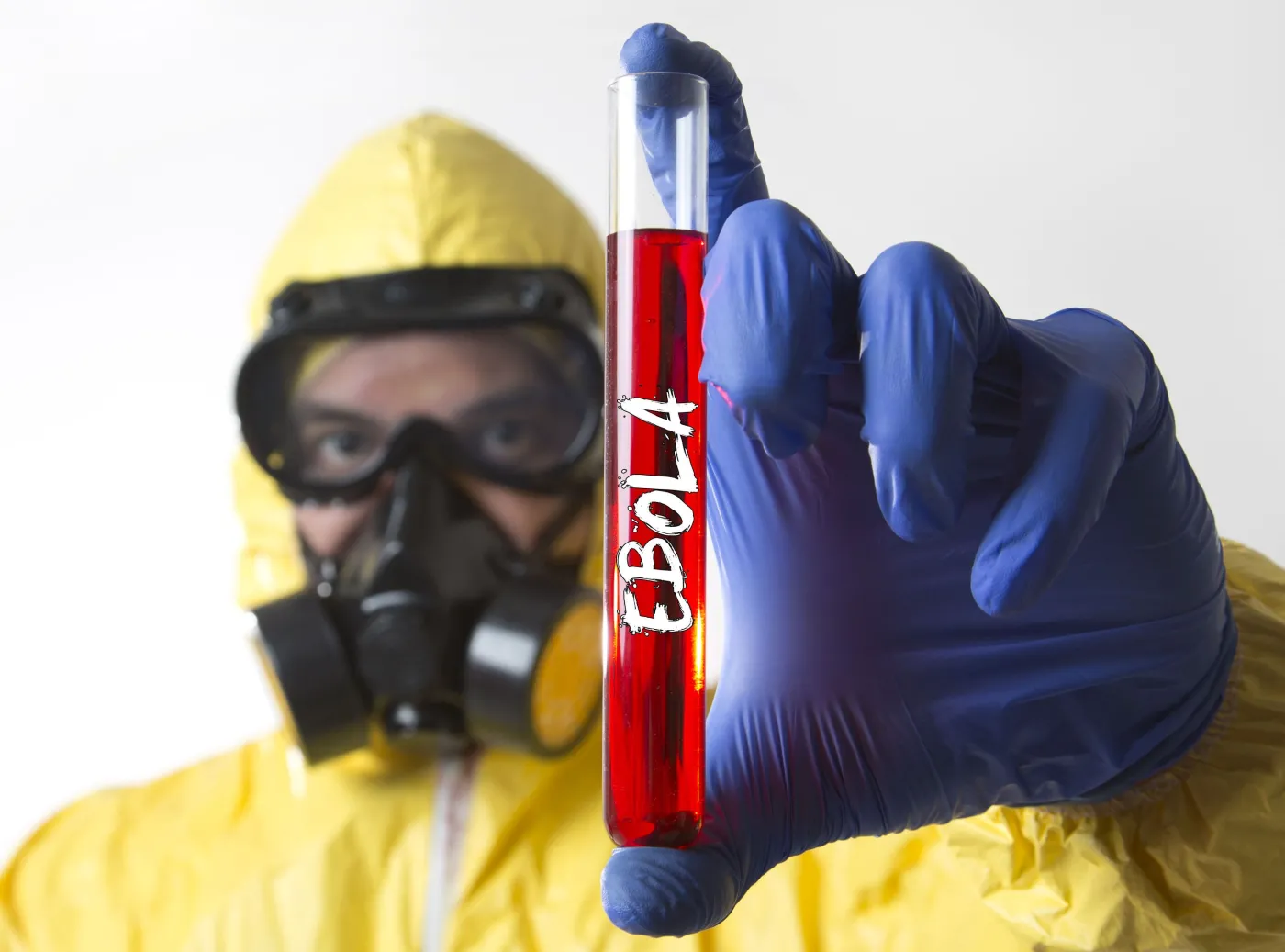 Wirus eboli