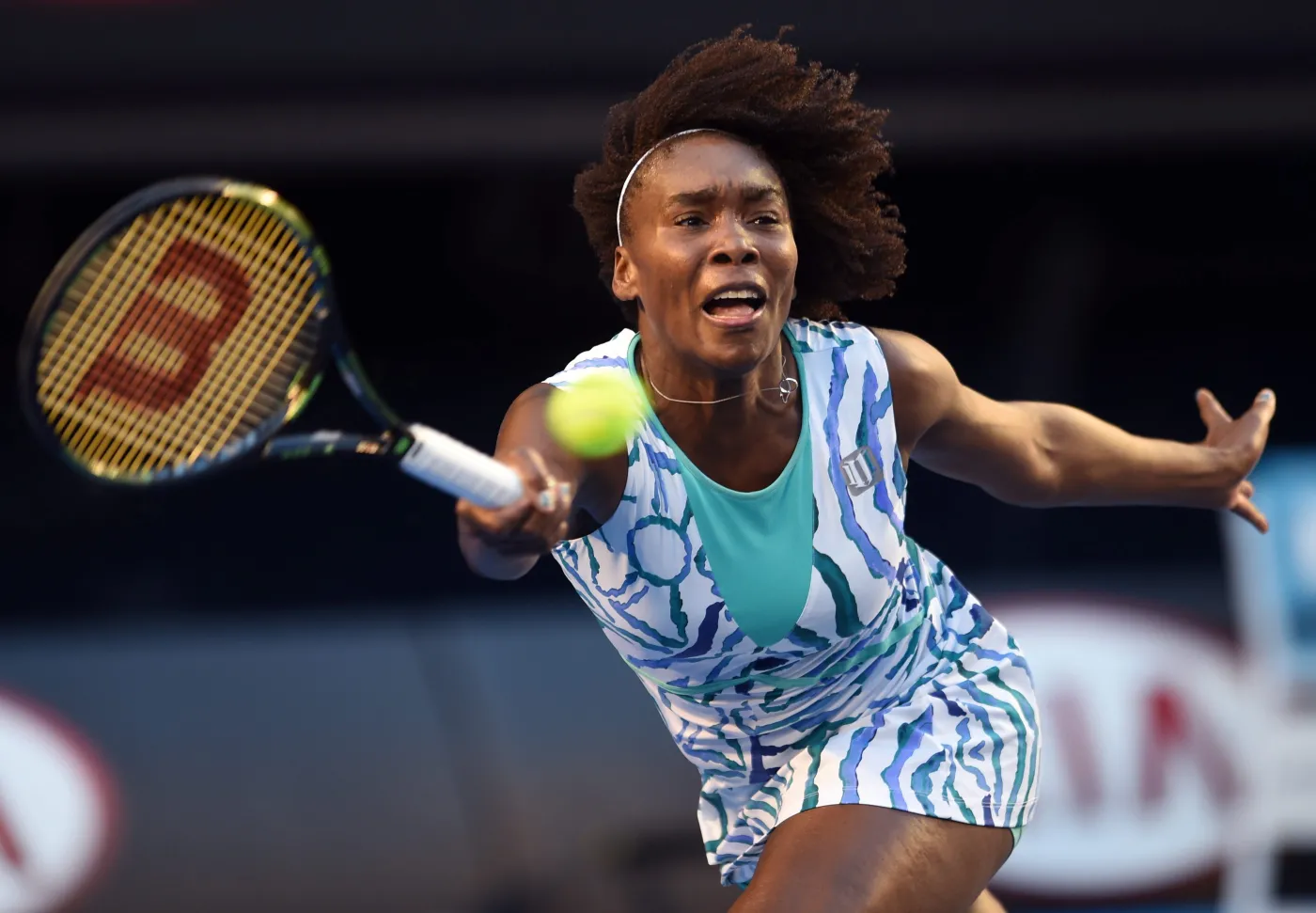 7345714-venus-williams.jpg