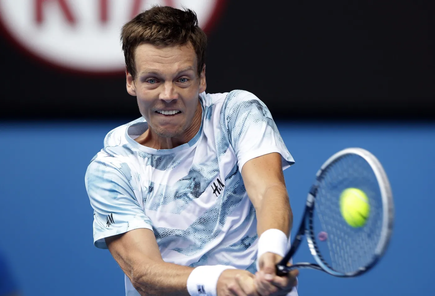 7349568-tomas-berdych.jpg