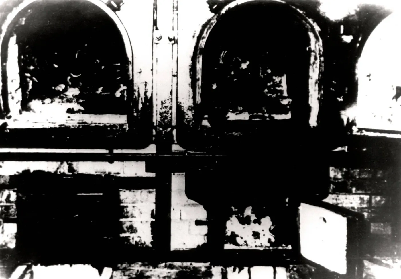 7350437-kl-auschwitz.jpg