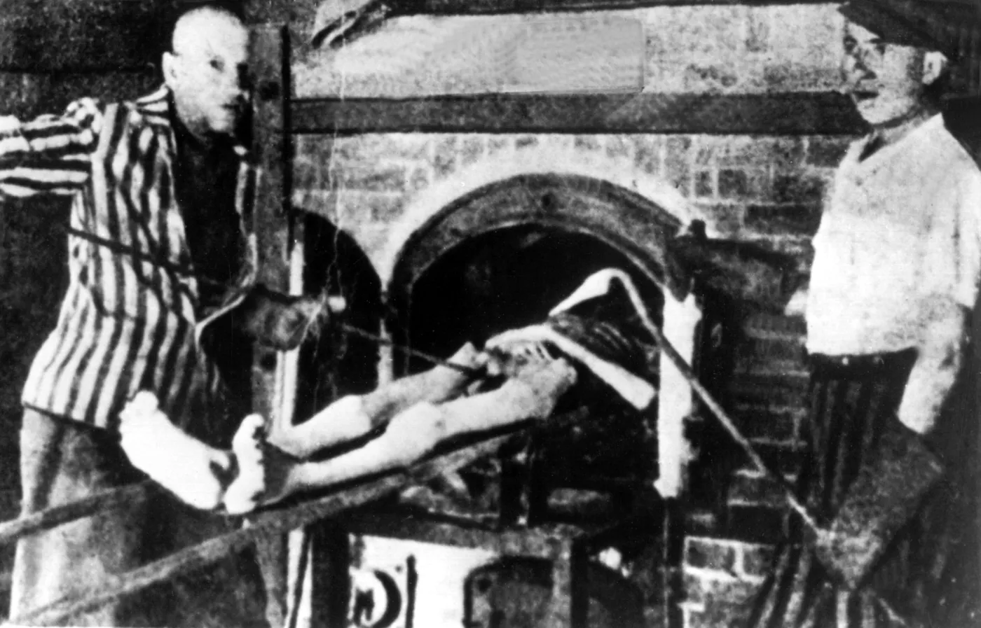 7350495-kl-auschwitz.jpg