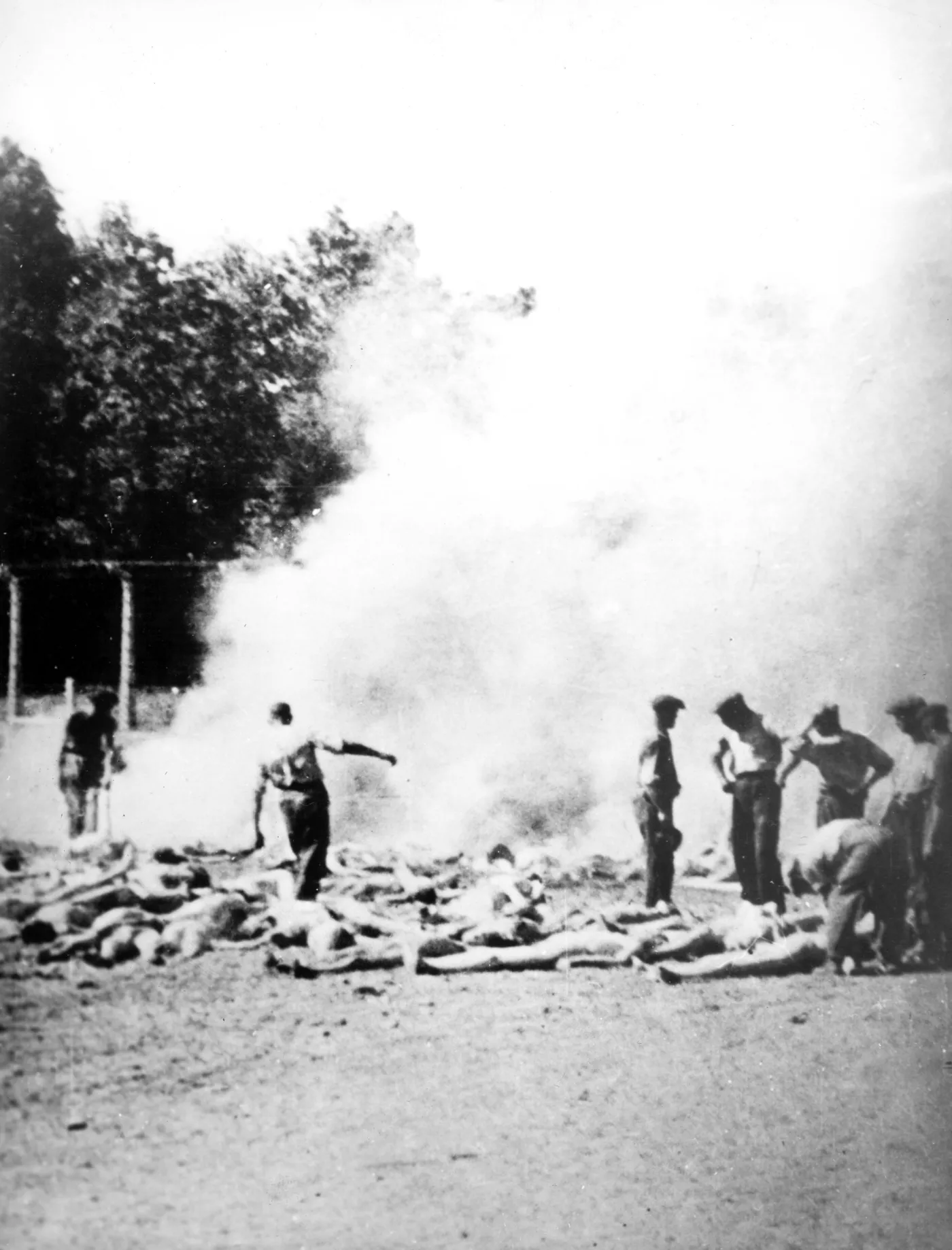 7350603-kl-auschwitz.jpg