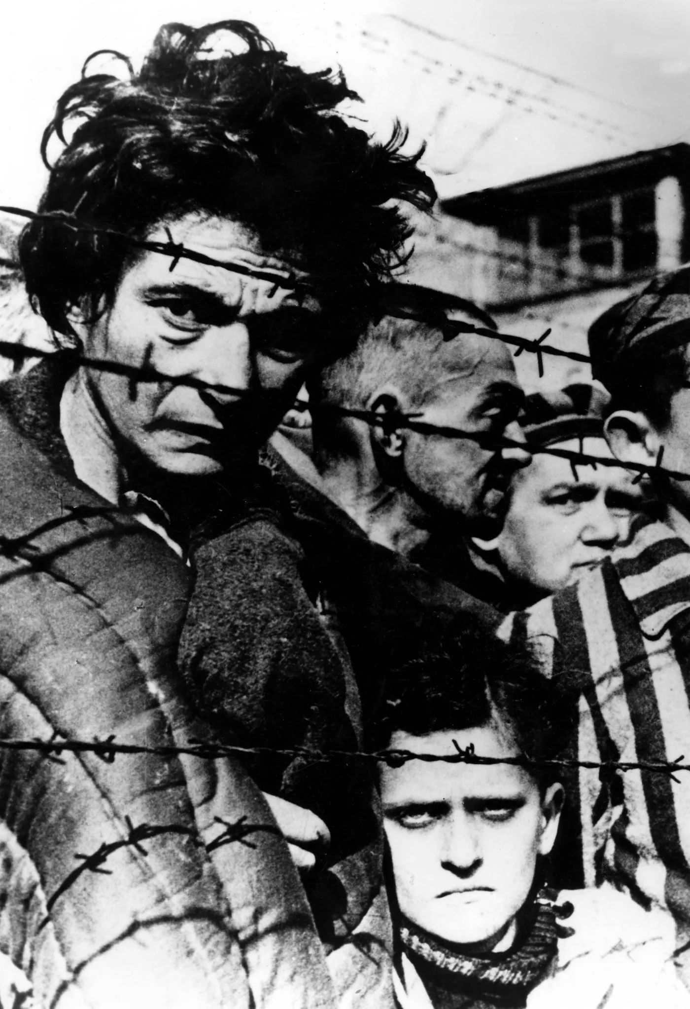 7350661-kl-auschwitz.jpg