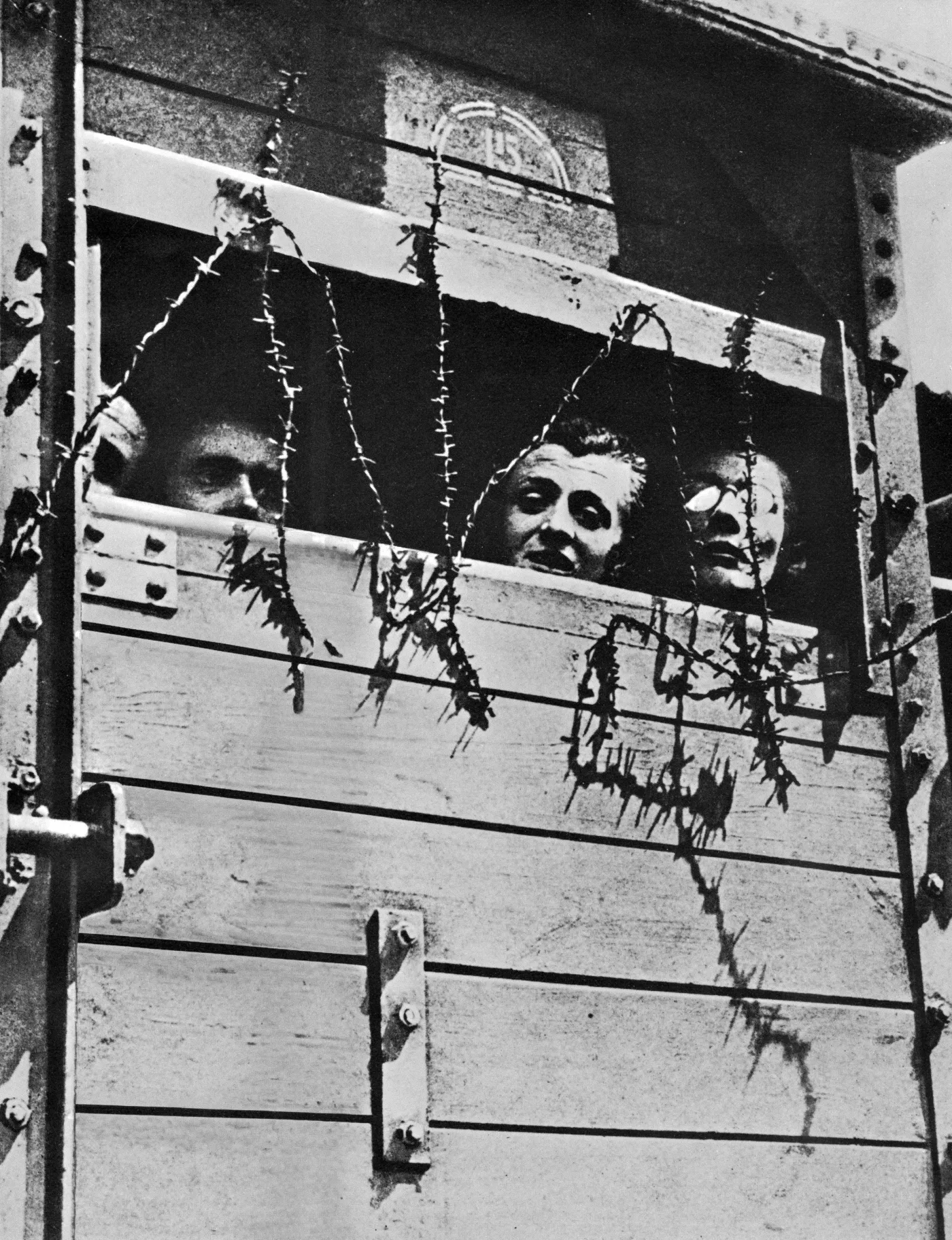 7350715-kl-auschwitz.jpg