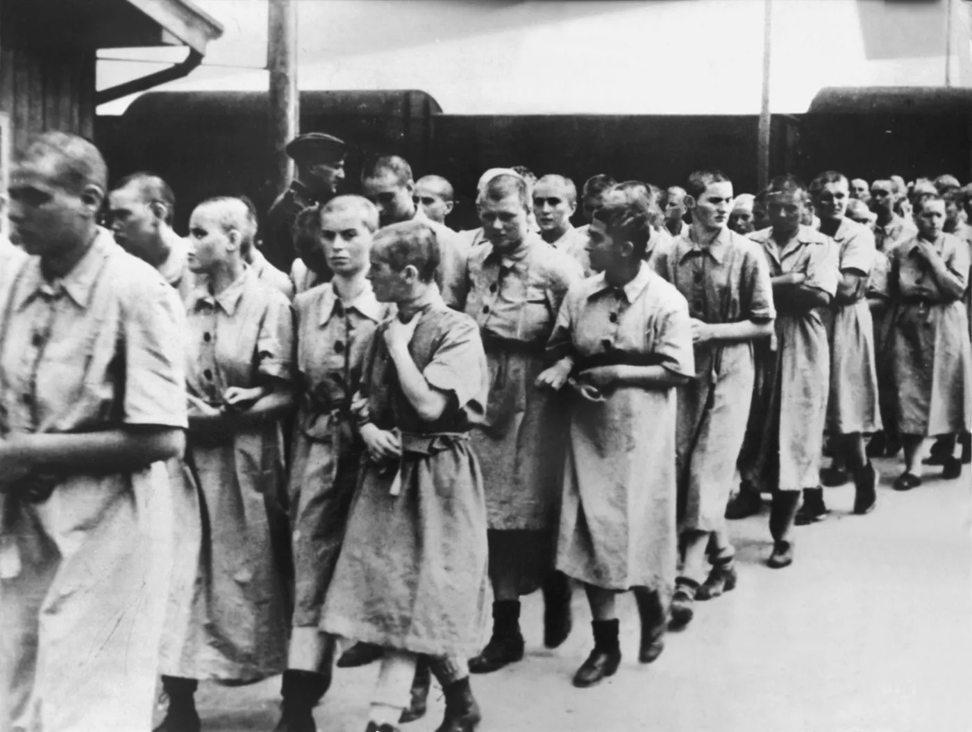 7350857-kl-auschwitz.jpg