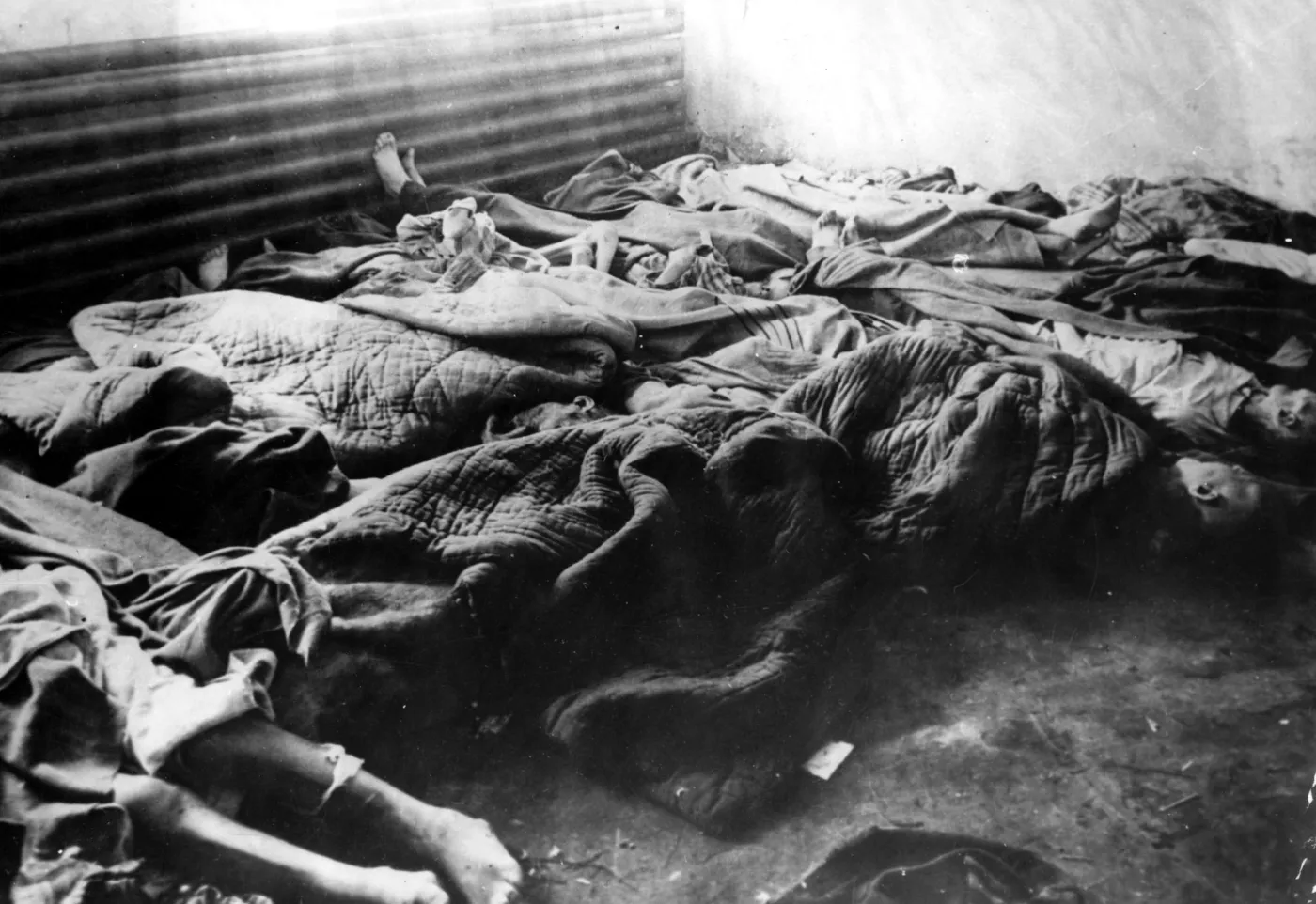 7350886-kl-auschwitz.jpg