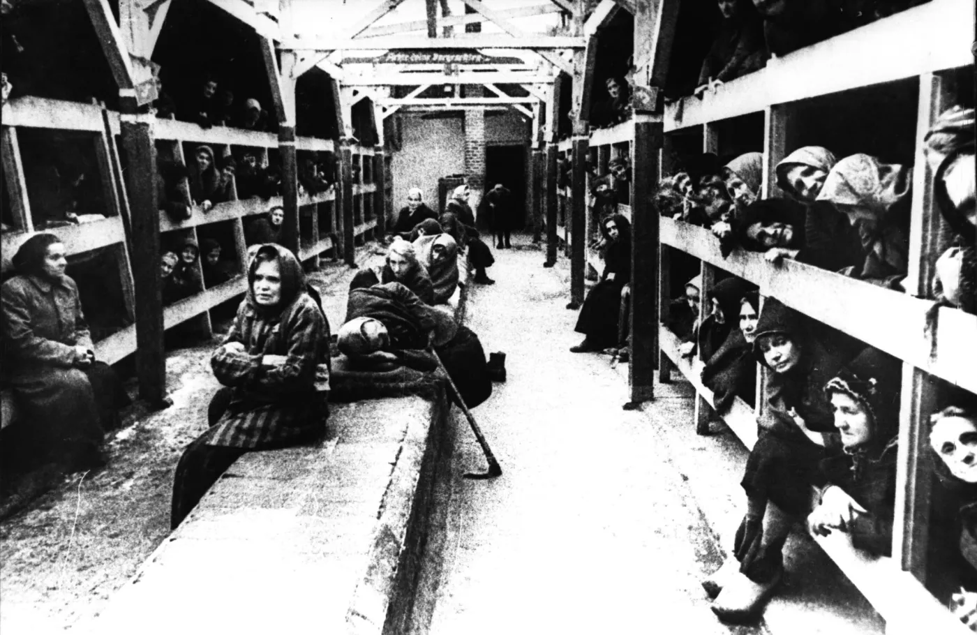 7350973-kl-auschwitz.jpg