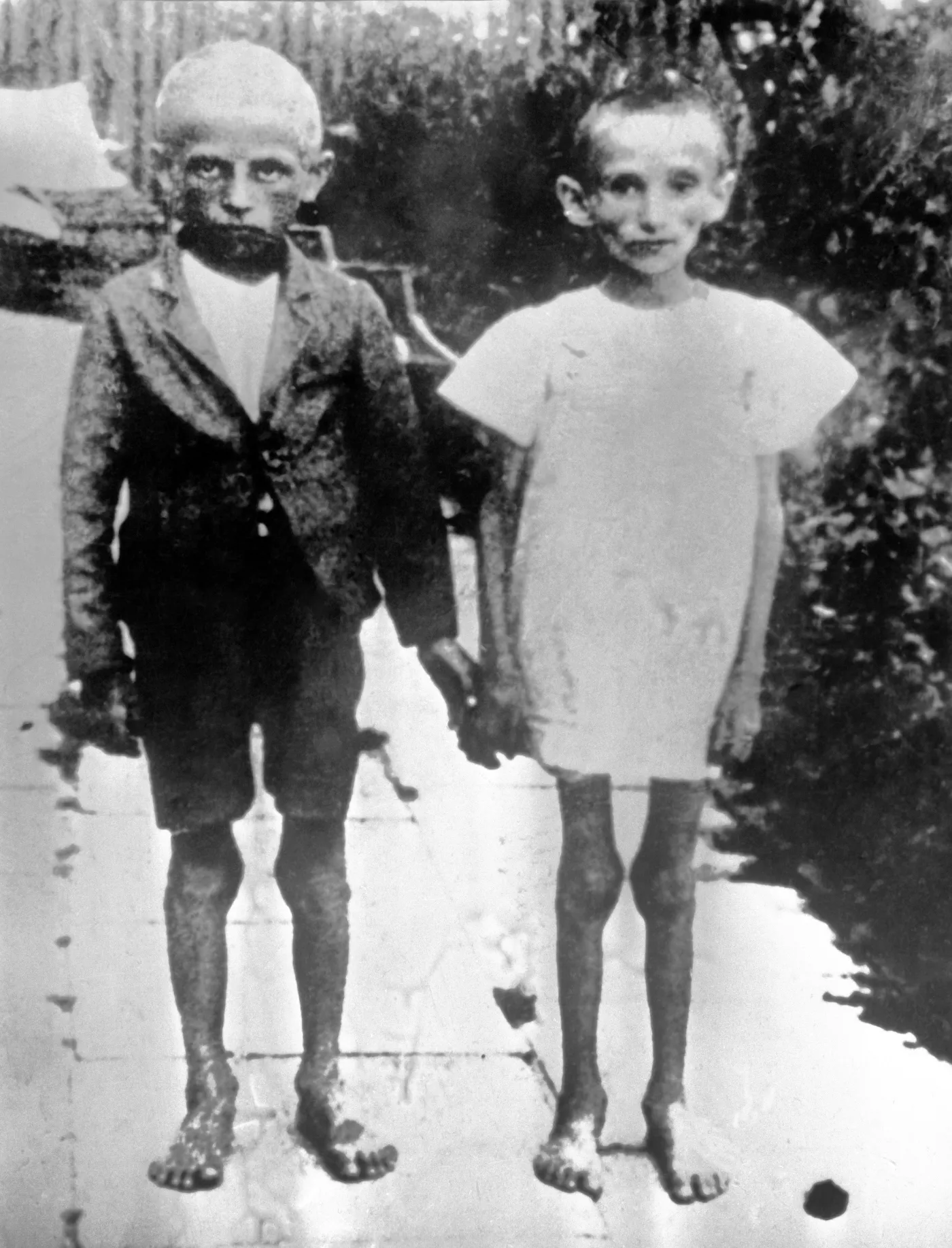 7351002-kl-auschwitz.jpg