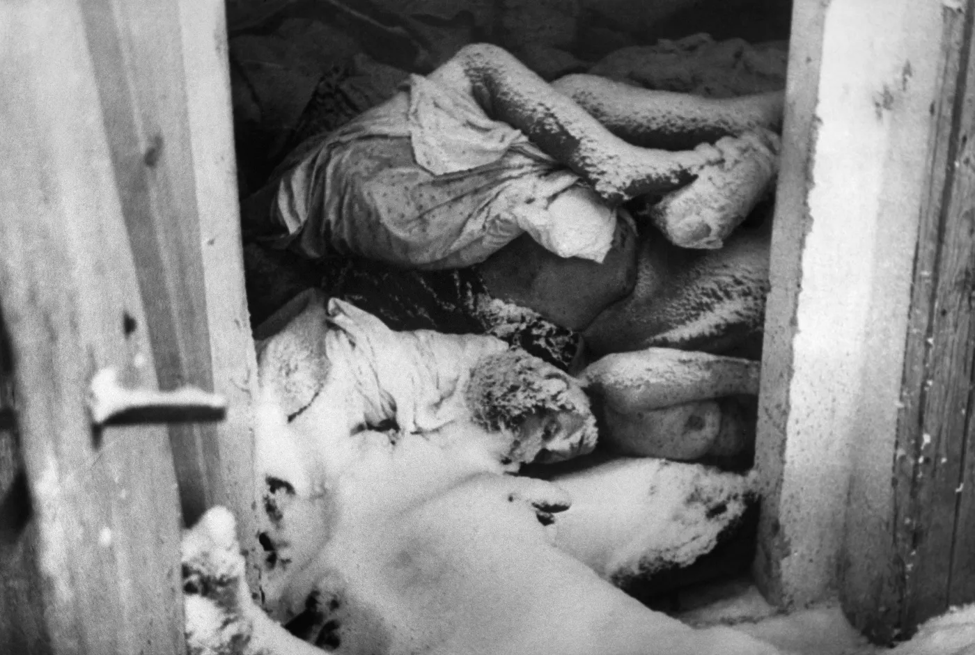 7351060-kl-auschwitz.jpg