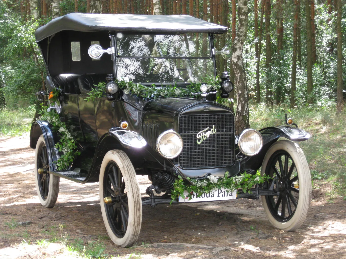 7373409-ford-model-t.jpg