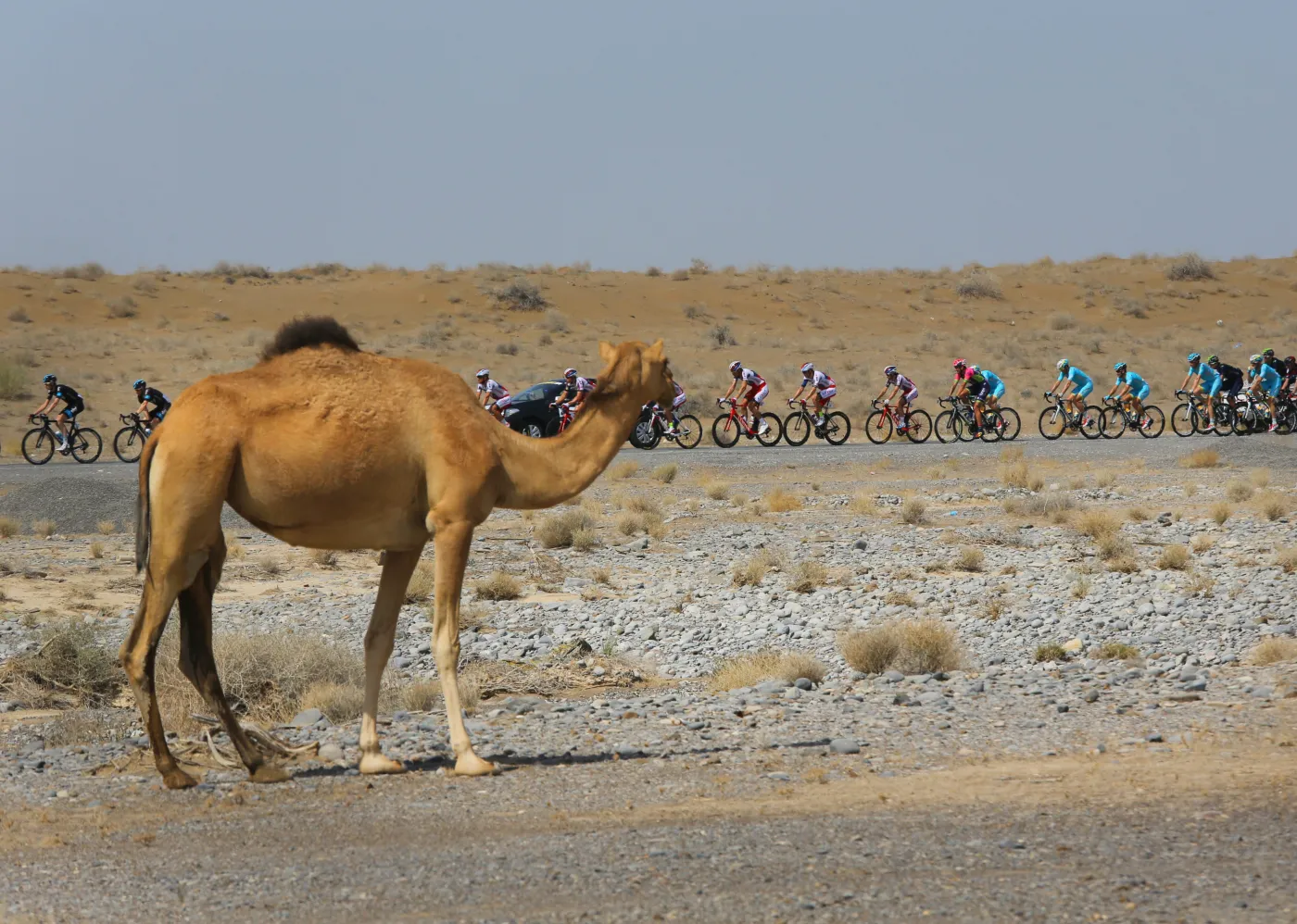 Tour of Oman