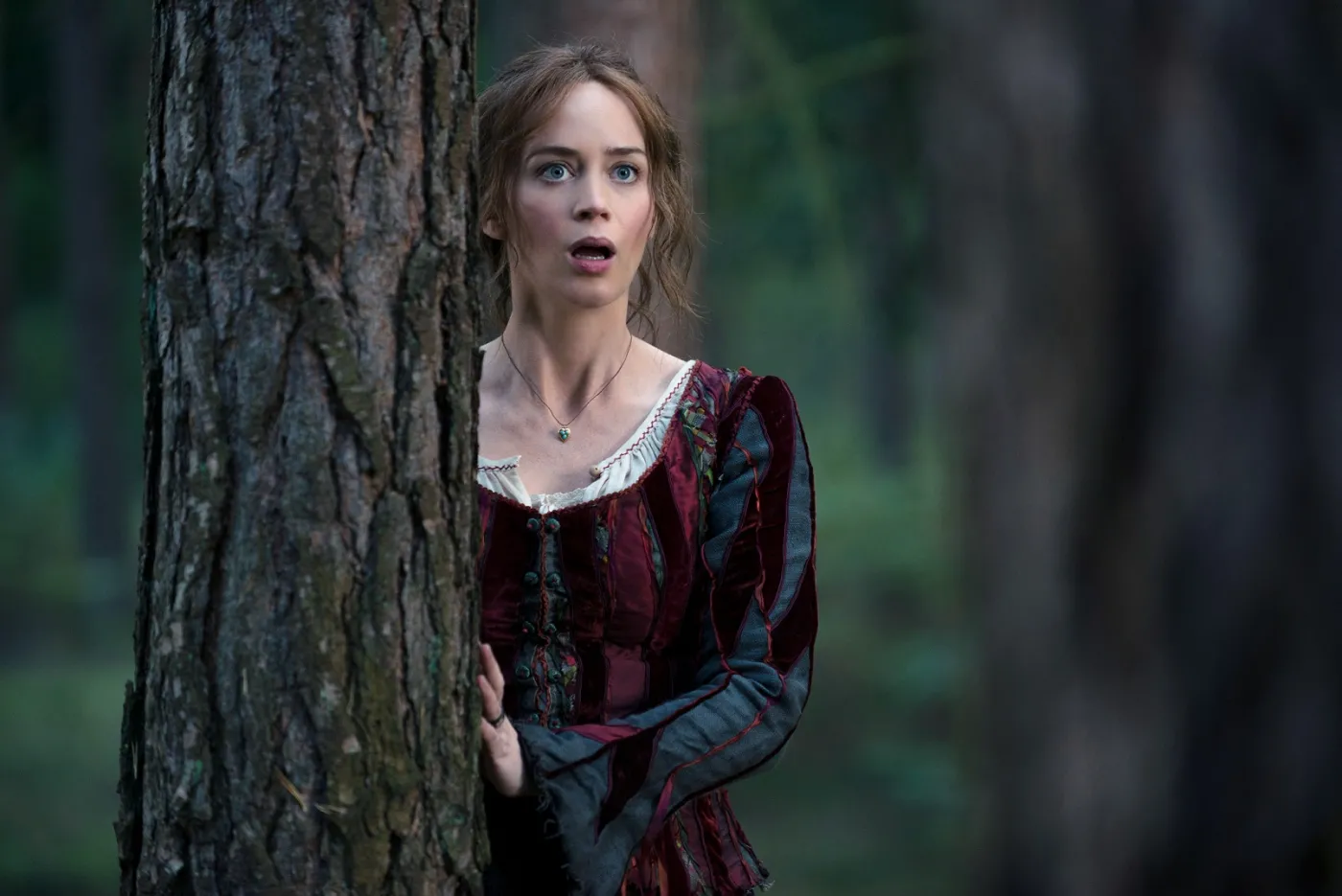 Tajemnice lasu