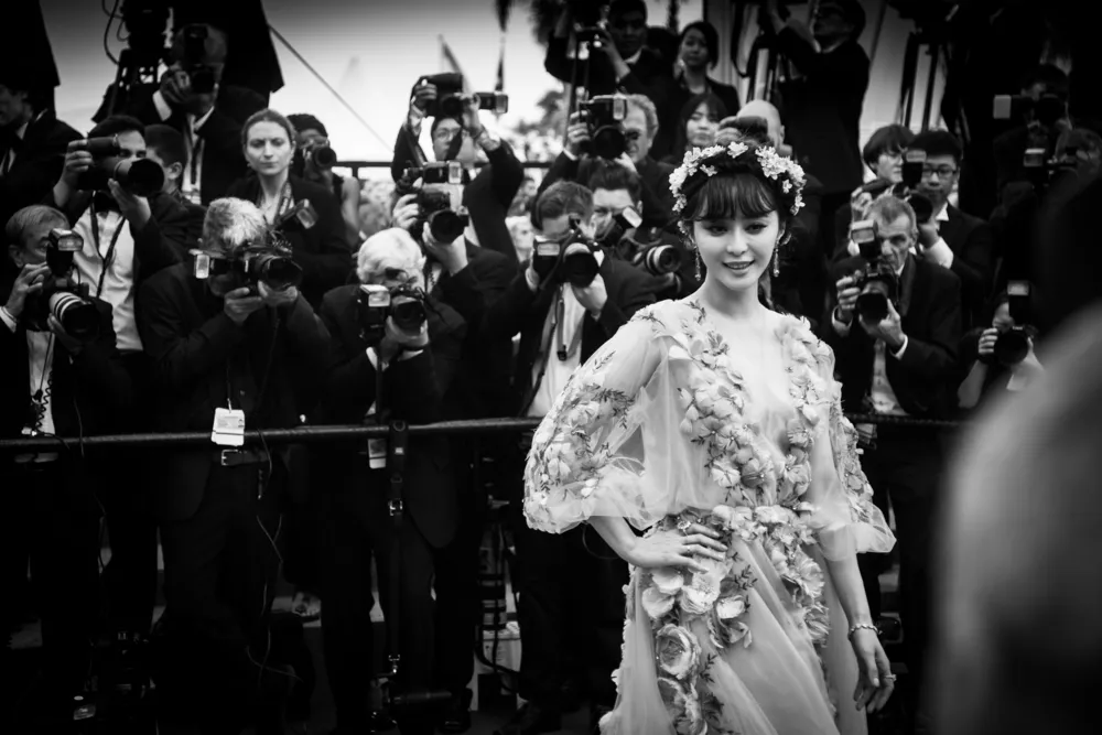 8114205-bingbing-fan.jpg