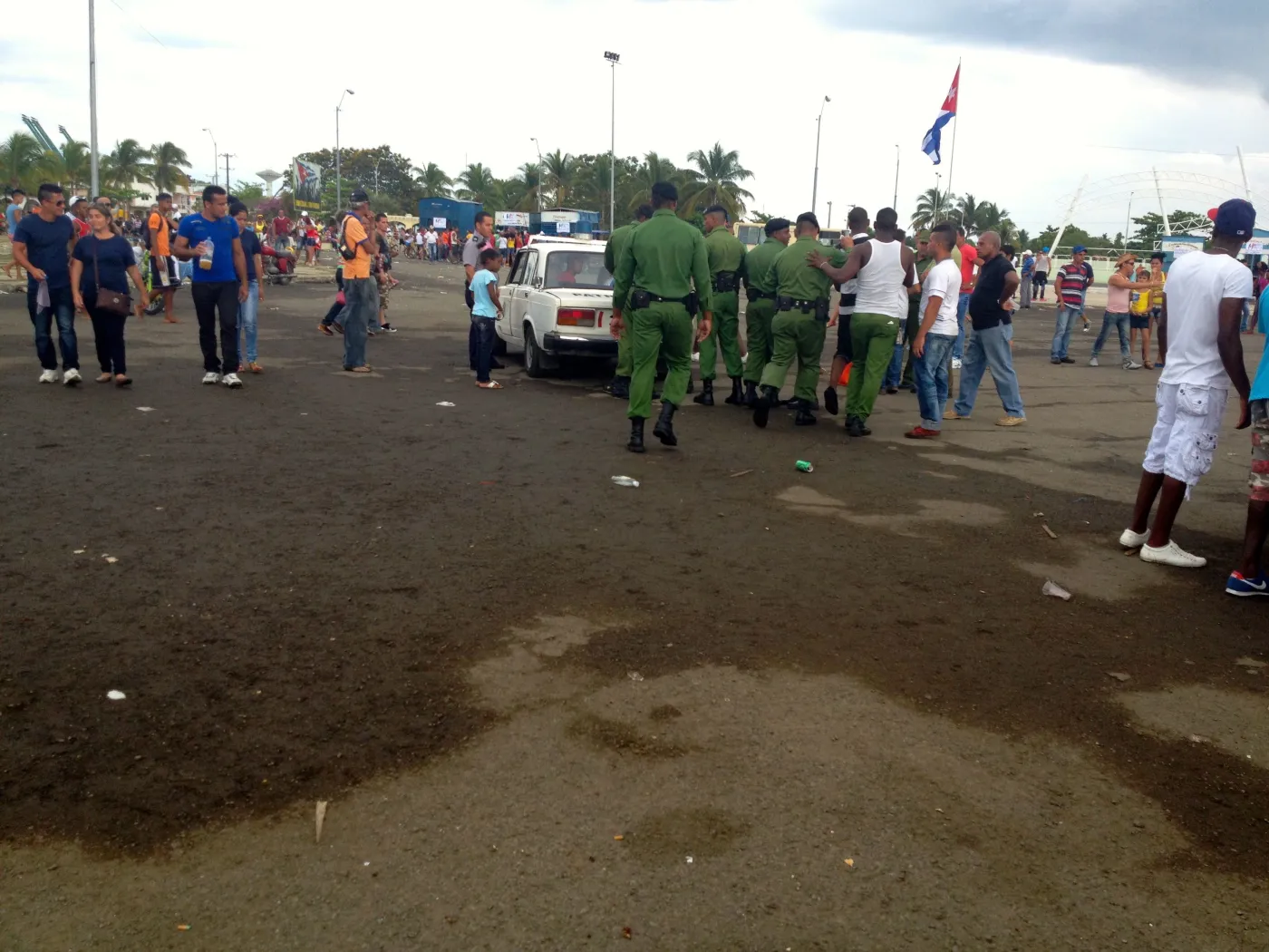 7815880-1-maj-na-kubie.jpg