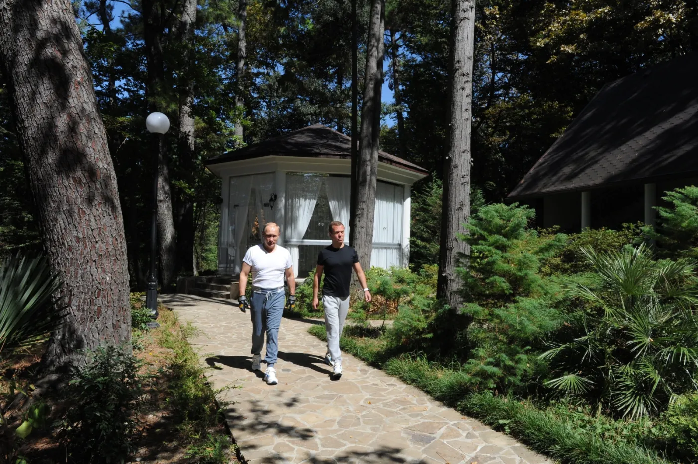 8147224-wladimir-putin.jpg
