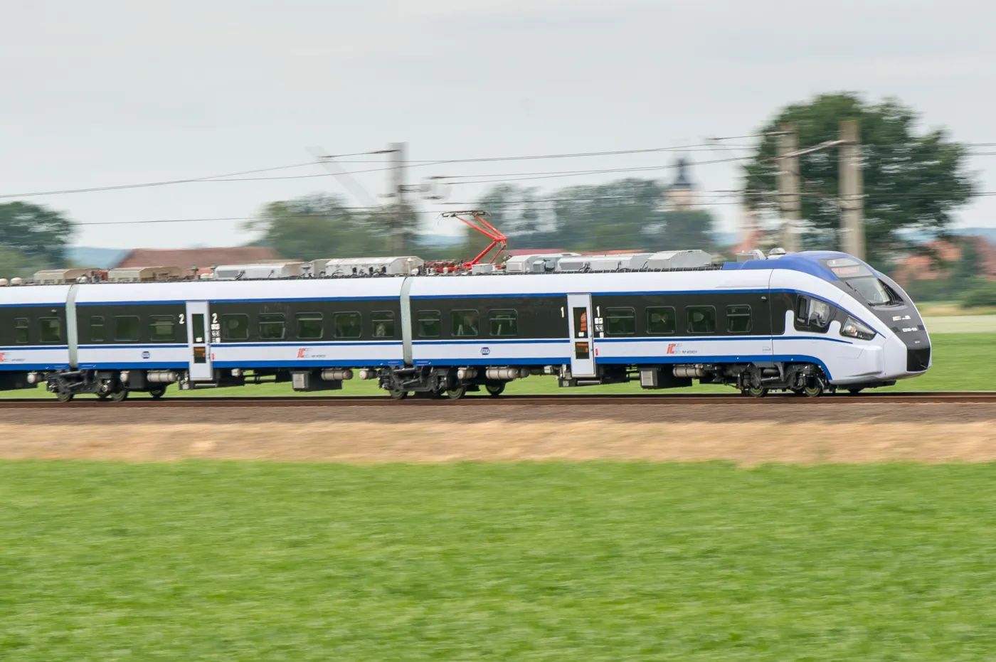 7889882-dart-z-pesy.jpg