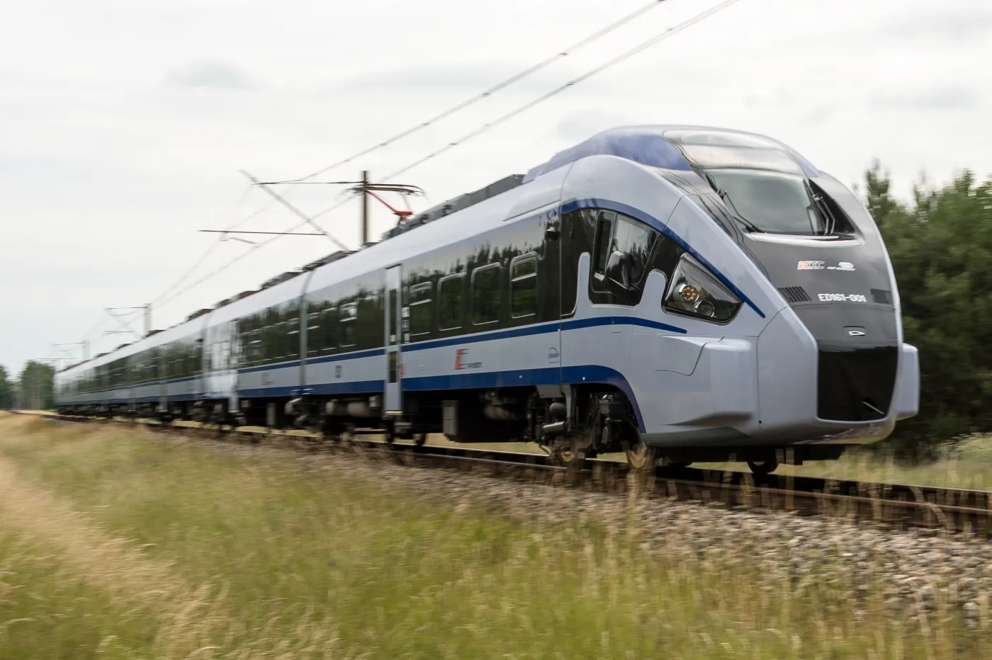 7889912-dart-z-pesy.jpg