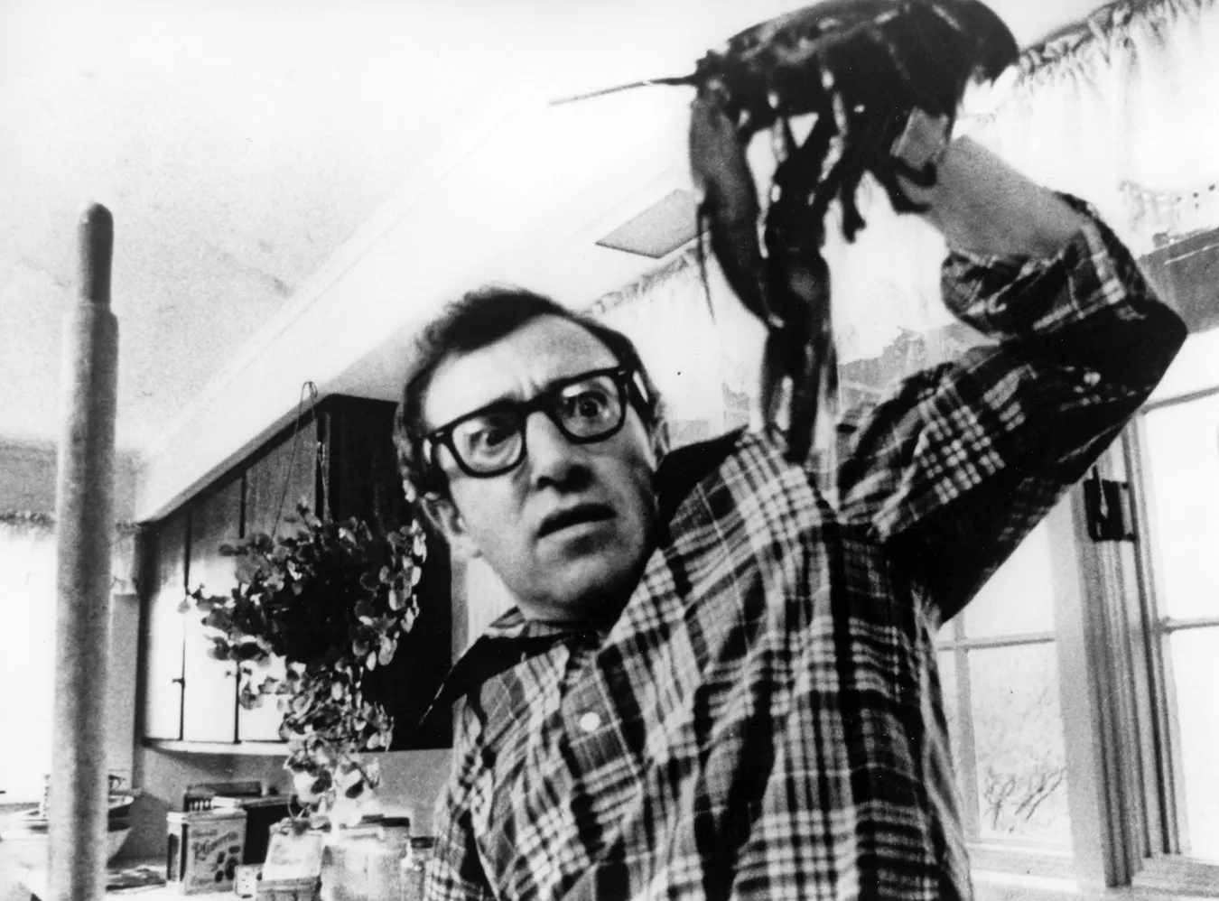 8488125-woody-allen.jpg