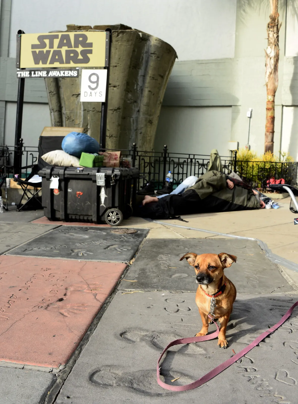 8523553-star-wars-fans.jpg