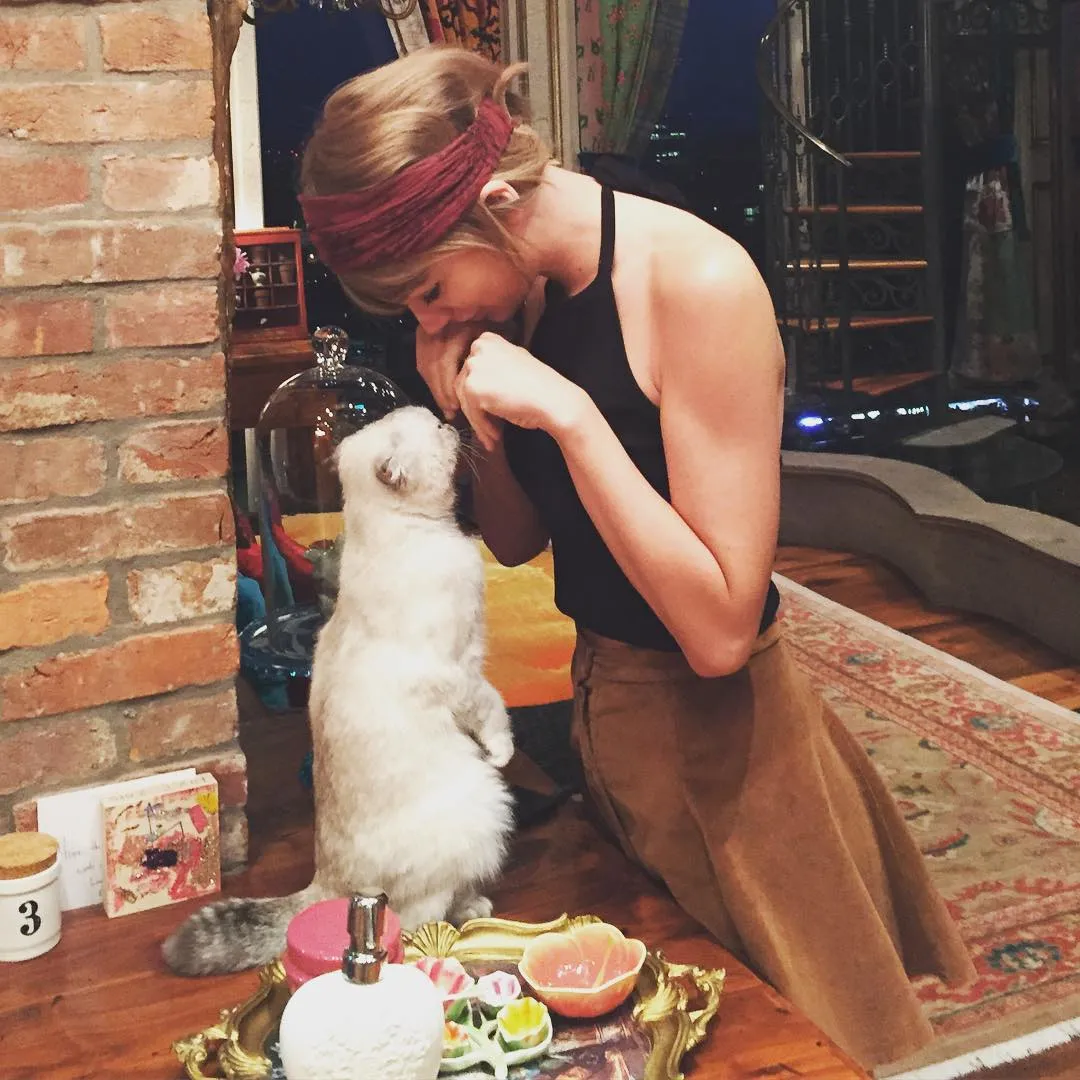 8533647-taylor-swift.jpg