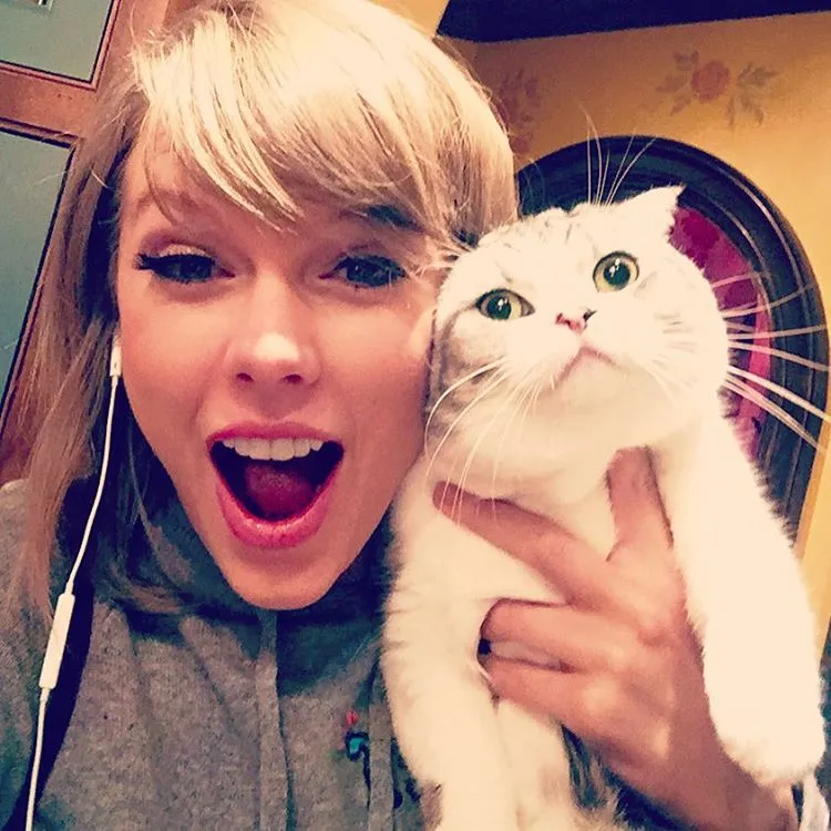 8533678-taylor-swift.jpg