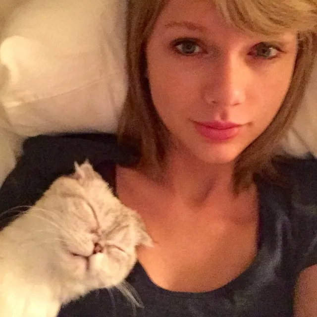 8534005-taylor-swift.jpg