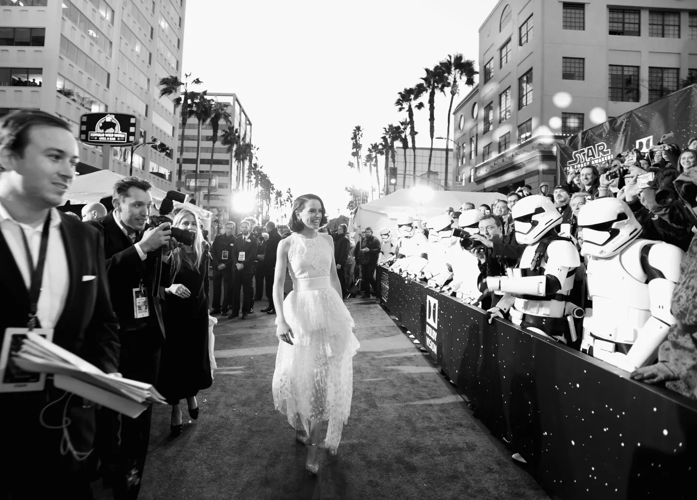 8566448-daisy-ridley.jpg