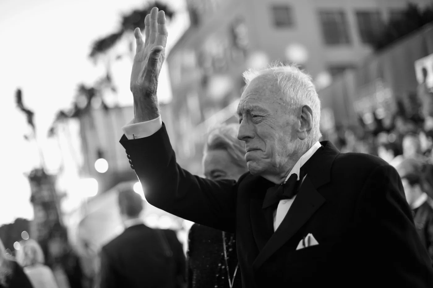 8566592-max-von-sydow.jpg