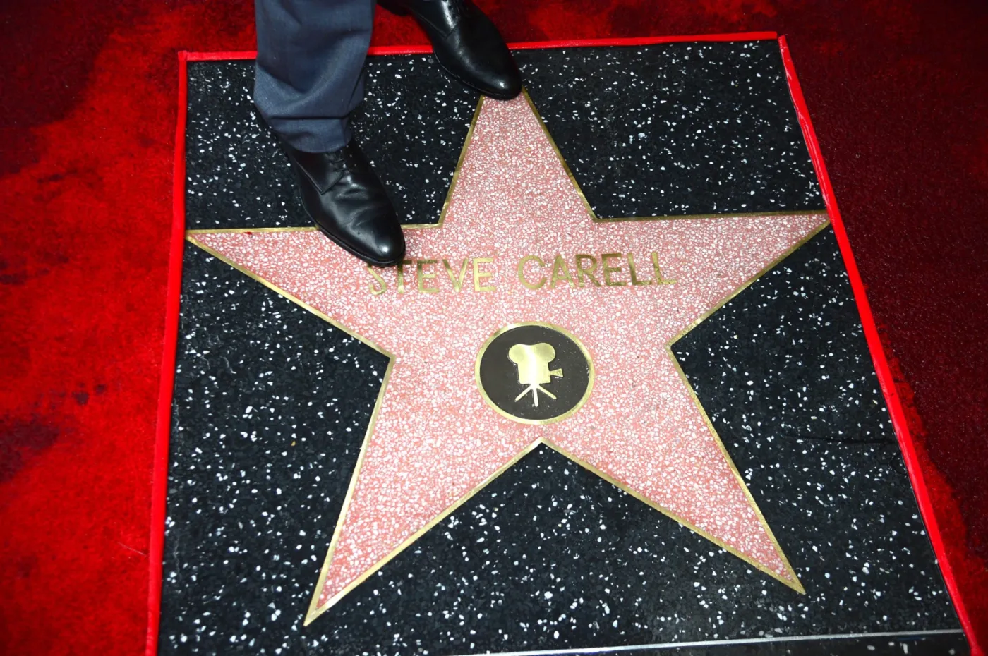 8607877-steve-carell.jpg