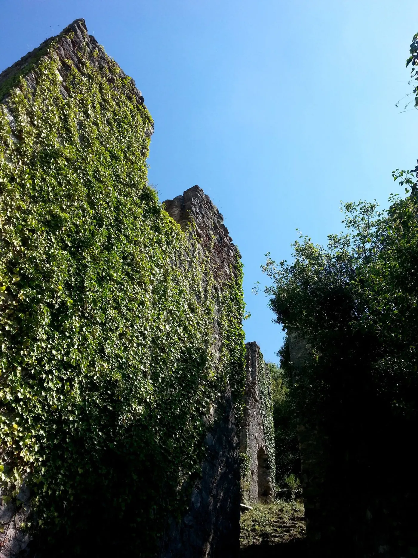 8229001-mistra-grecja.jpg