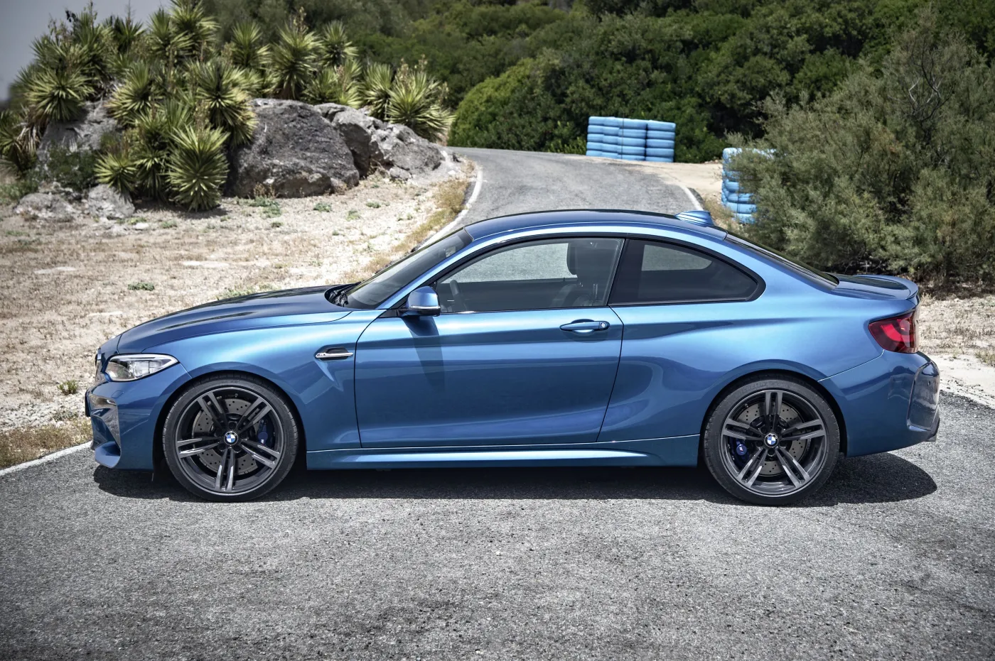 8317679-bmw-m2-coupe.jpg