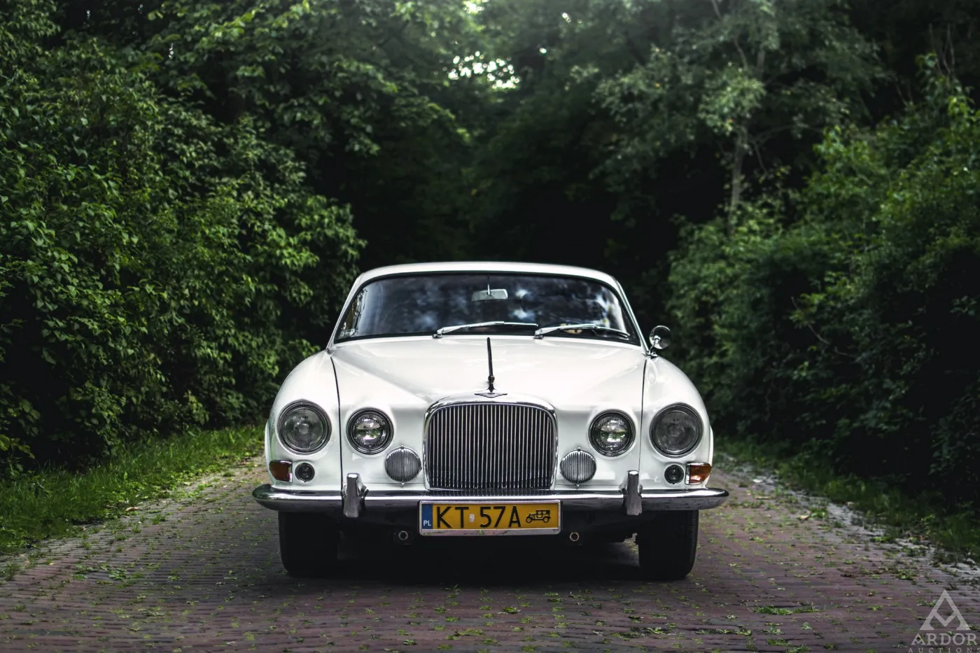 8327875-jaguar-mark-x.jpg