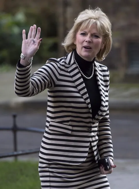 8892278-anna-soubry.jpg