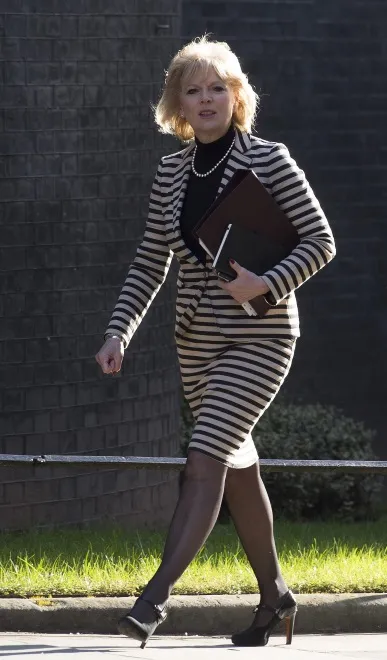 8892304-anna-soubry.jpg