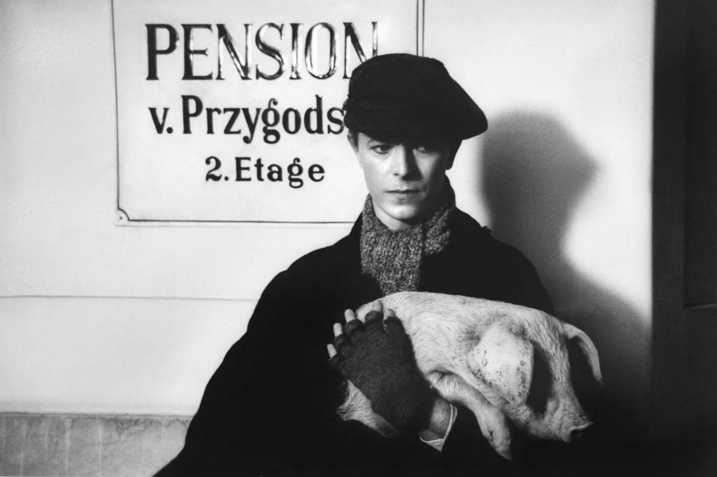 8622435-david-bowie.jpg