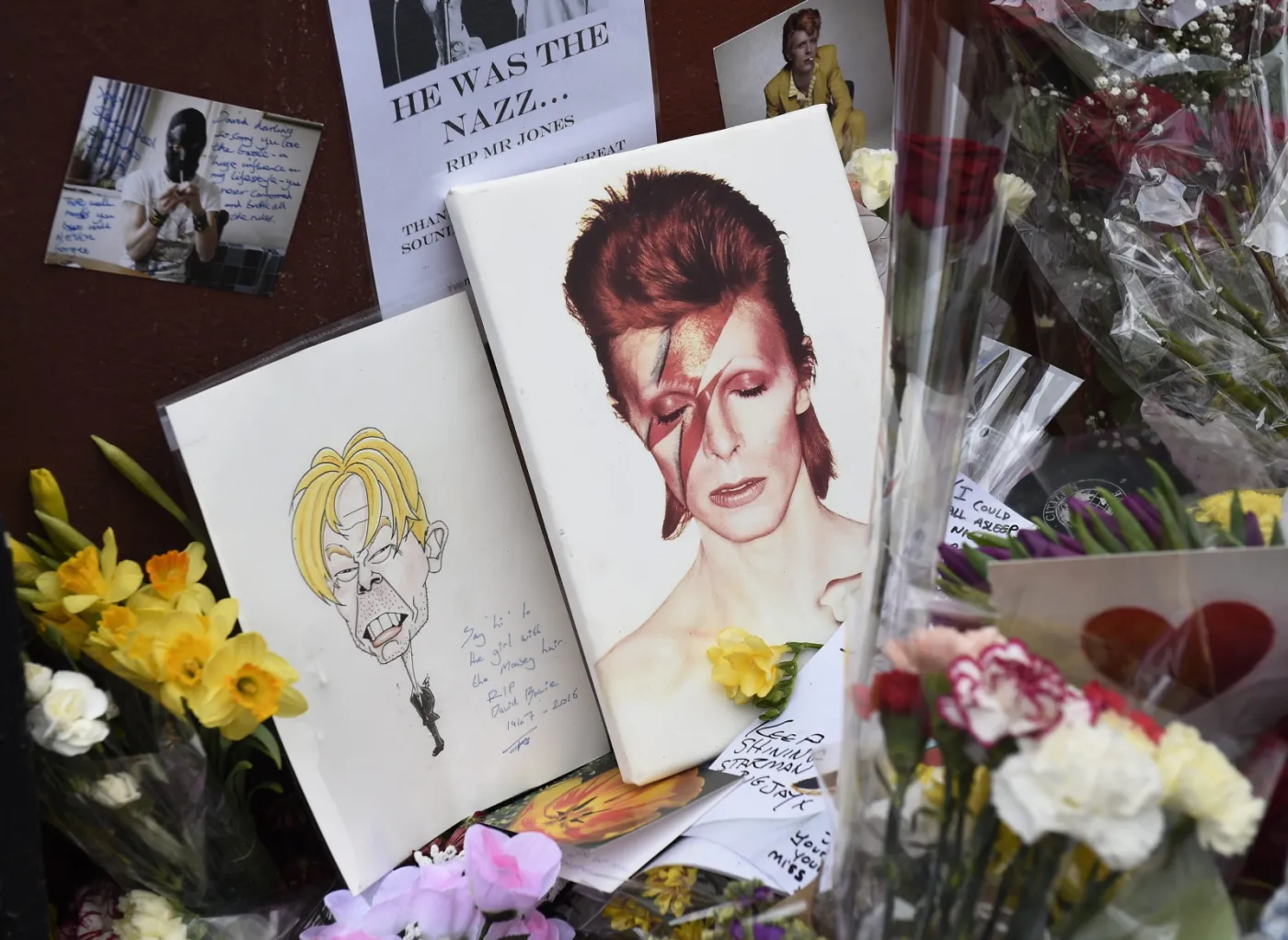 8637374-david-bowie.jpg