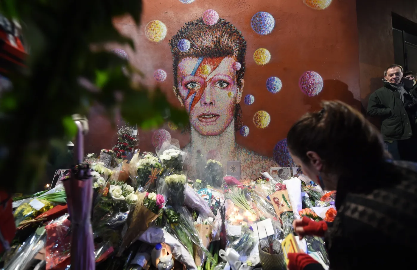 David Bowie
