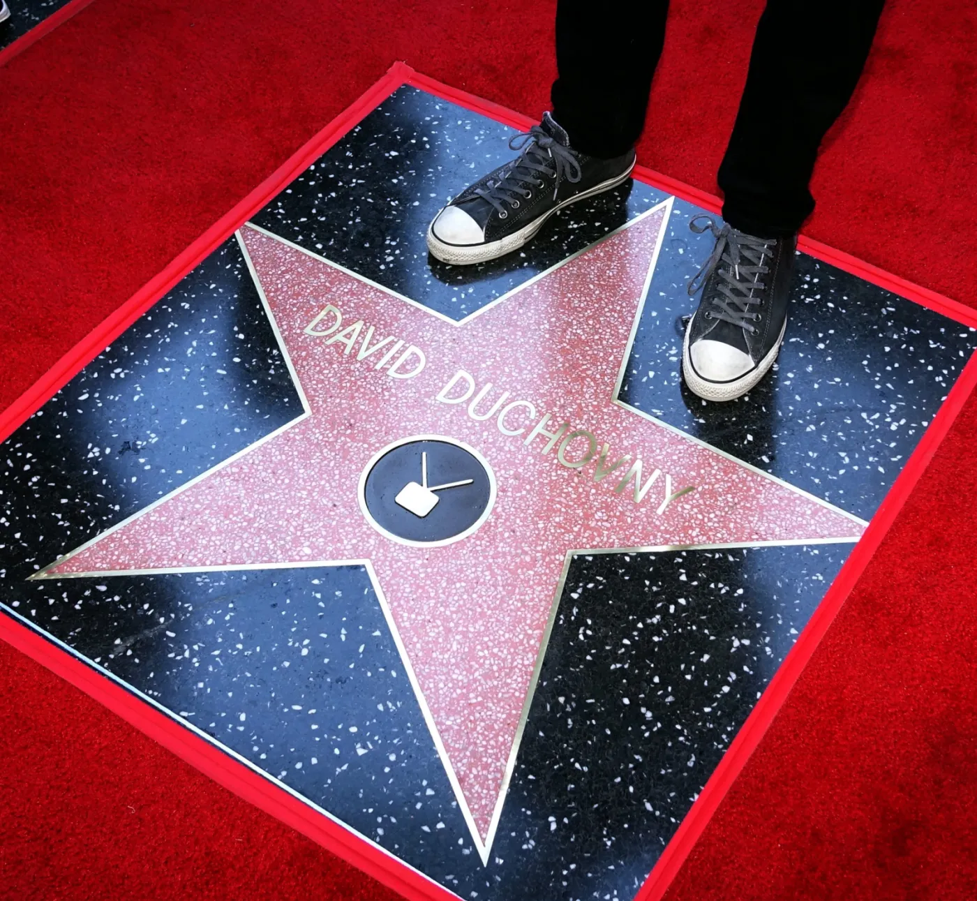 8671522-david-duchovny.jpg