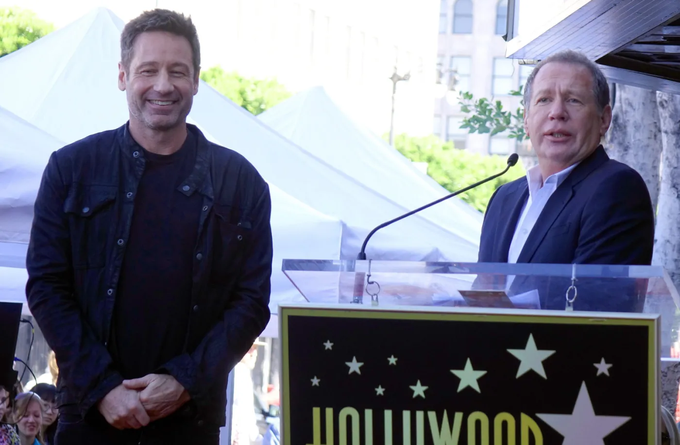 8671618-david-duchovny.jpg