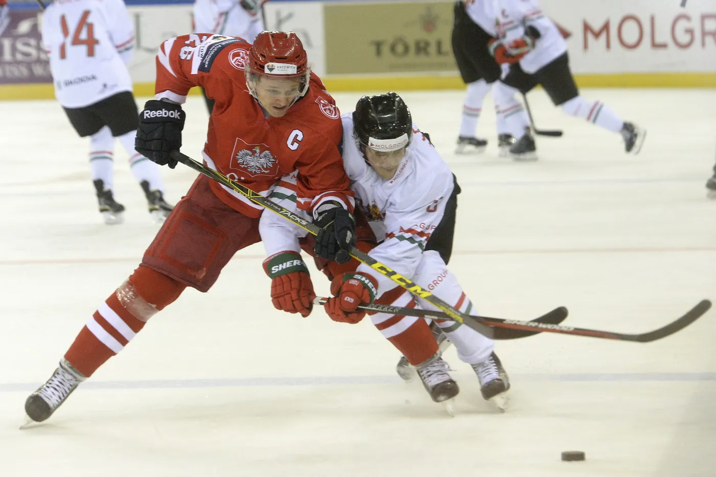 Marcin Kolusz