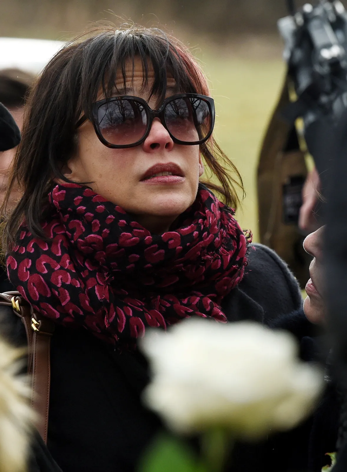 8761425-sophie-marceau.jpg