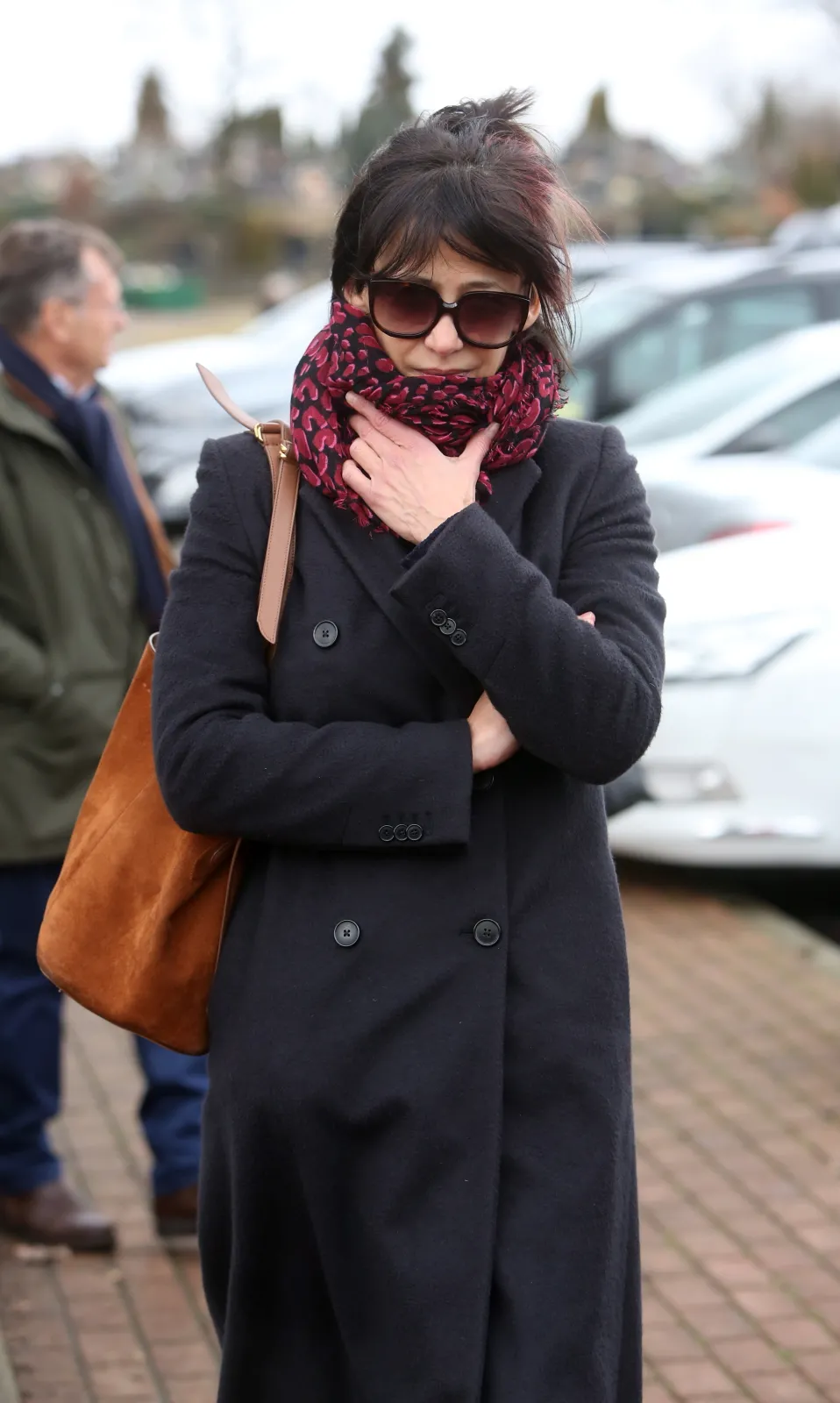 8761647-sophie-marceau.jpg