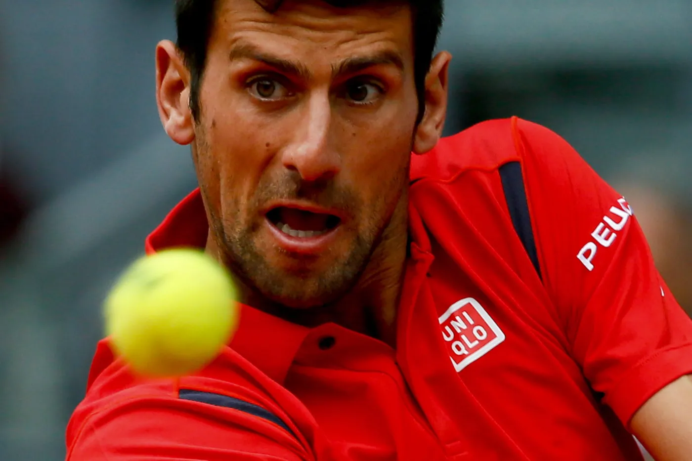 Novak Djoković